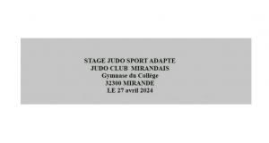 MIRANDE - Stage Judo Adapté le 27 Avril 2024